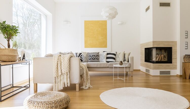 Cozy Living Space